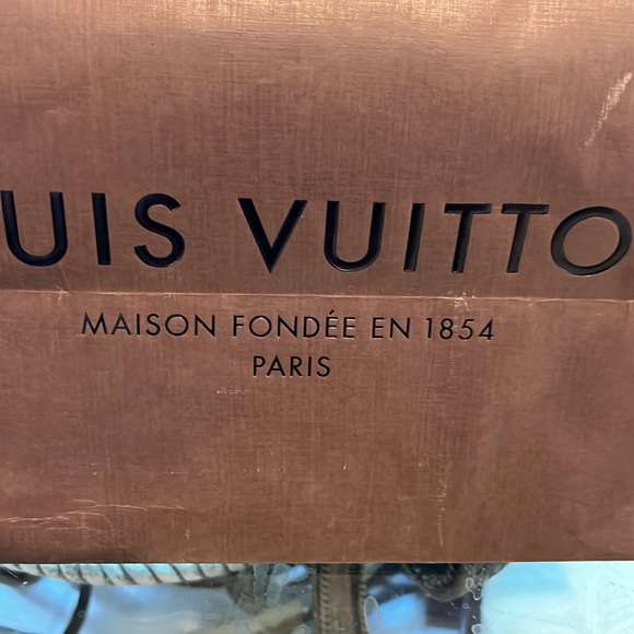 Authentic Louis Vuitton Paper bag - Picture 2 of 10
